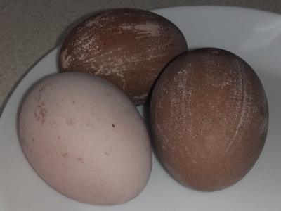 Jak pomalować jajka w soku z buraków?
